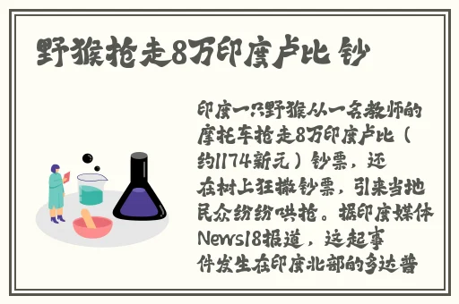 2024海角最新回家路